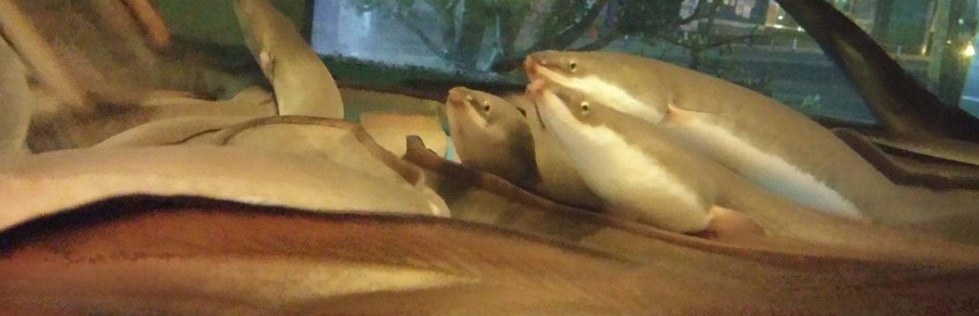 메인 슬라이드 이미지