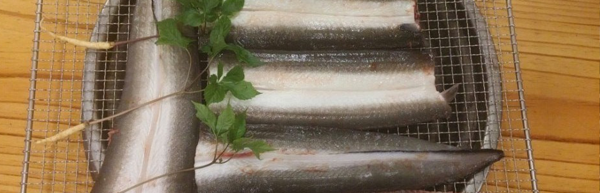 메인 슬라이드 이미지